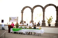 DIA DEL ARBOL