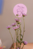 Noemí Florería