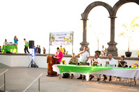 DIA DEL ARBOL