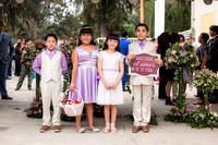 Mi Boda