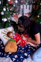 navideñas (11)